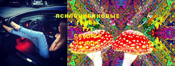 прущий лед Алексеевка