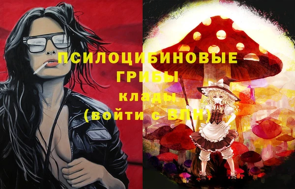 первитин Армянск
