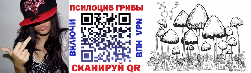 Псилоцибиновые грибы Psilocybine cubensis blacksprut как зайти Азнакаево